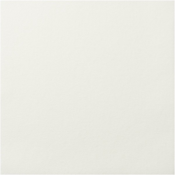 SERVIETTE R'SOFT 50 PIECES 40 X 40 CM BLANC