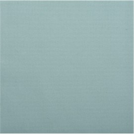 SERVIETTE R'SOFT 50 PIECES 40 X 40 CM VERT DE GRIS