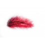 PLUMES ROUGE