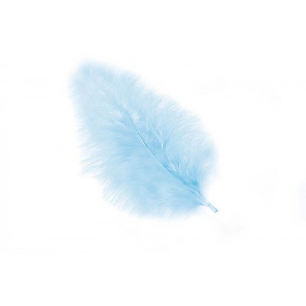 PLUMES BLEU CIEL