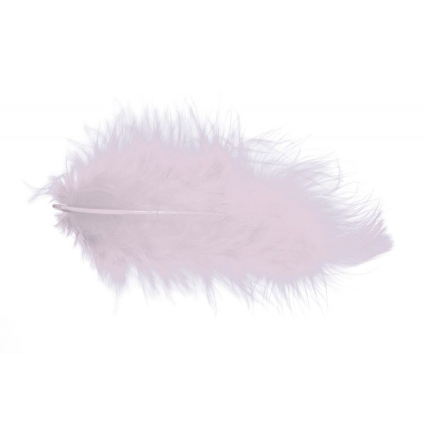 PLUMES ROSE PALE