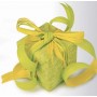 COUNTRY RIBBON 50 M VERT/JAUNE