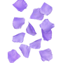 PETALES DE ROSE LILAS