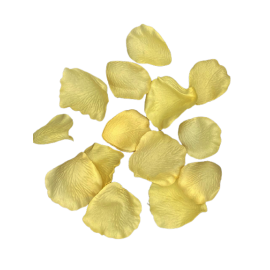 PETALES DE ROSE JAUNE PAILLE
