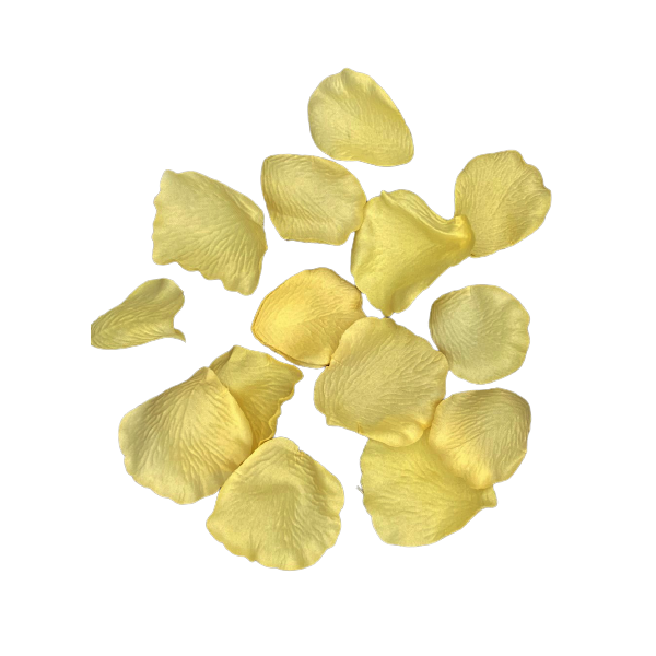 PETALES DE ROSE JAUNE PAILLE
