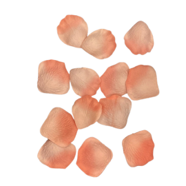 PETALES DE ROSE SAUMON