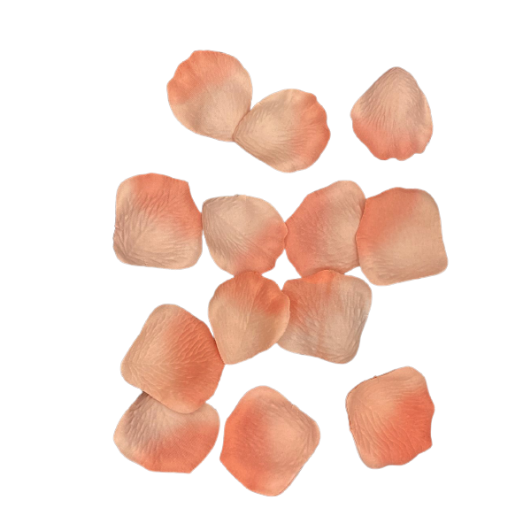 PETALES DE ROSE SAUMON