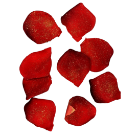 PETALES DE ROSE ROUGE PAILLETE