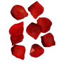 PETALES DE ROSE ROUGE PAILLETE