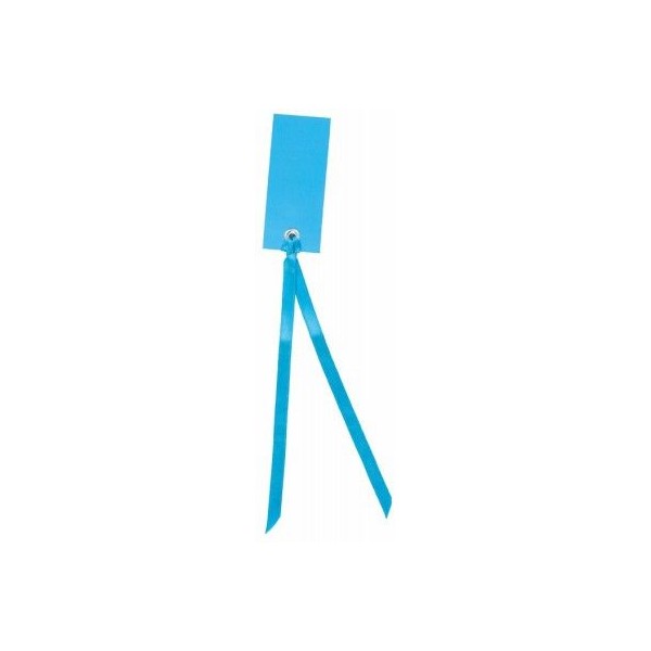 MARQUE-PLACE RECTANGLE TURQUOISE