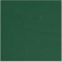 SERVIETTE CELISOFT 50 PIECES 40 X 40 CM VERT SAPIN