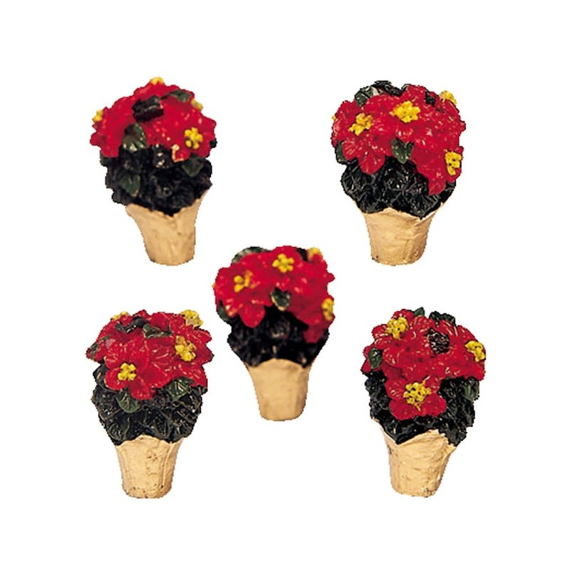 POINSETTIAS, LOT DE 5