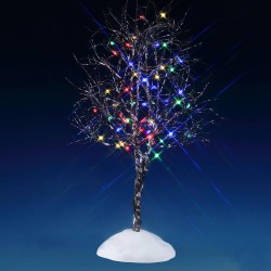 NOYER CENDRE LUMIÈRE MULTICOLORE