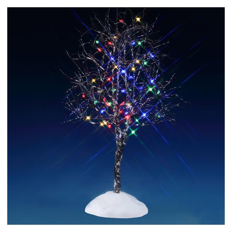 NOYER CENDRE LUMIÈRE MULTICOLORE