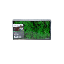 MOUSSE VERT VIF 500 G