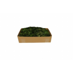 MOUSSE VERT FONCE 500G