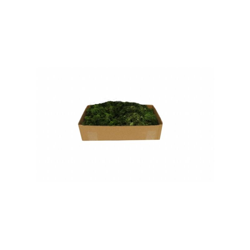 MOUSSE VERT FONCE 500G