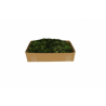 MOUSSE VERT FONCE 500G