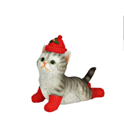 CHAT GRIS CHAUSSETTE ROUGE