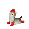 CHAT GRIS CHAUSSETTE ROUGE
