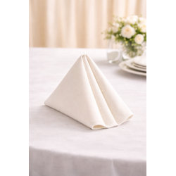 Serviette de table 50 x 50 cm Ecru