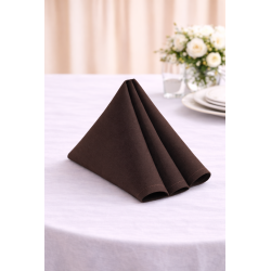 Serviette de table 50 x 50 cm Cacao