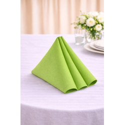 Serviette de table 50 x 50 cm Vert Pistache