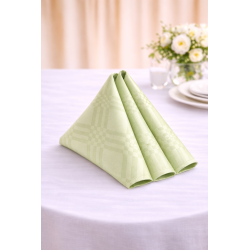 Serviette de table damassé 45 x 45 cm Vert Tilleul