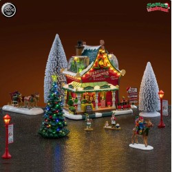 ENSEMBLE PEPINIERE DES FETES 66708